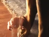 Bestiality Porn - A Girl drinks the Sperm of Dog